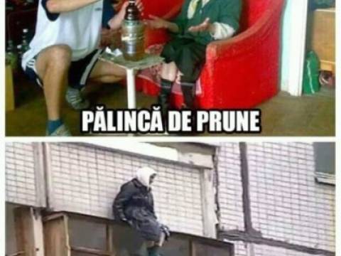 Cine te face mai puternic: laptele sau palinca?