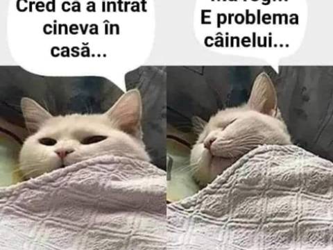 Bancul zilei - așa se &icirc;nt&acirc;mplă c&acirc;nd nu &icirc;nțelegi ceva ca lumea