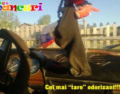 Bunica si bunicu in vizita la nepoti