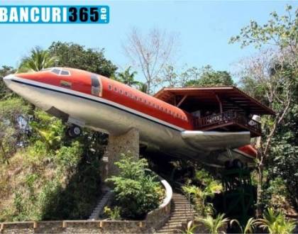 Cum cred doi politisti ca se deturneaza un avion
