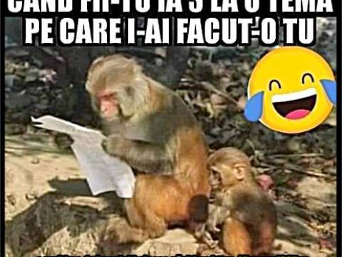 Cum se face tema la matematica
