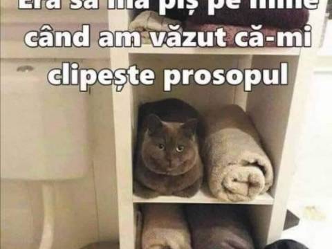 Ce s-a intamplat cand Sir s-a spalat pe picioare