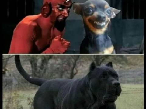 Bancul zilei 23 iunie 2024