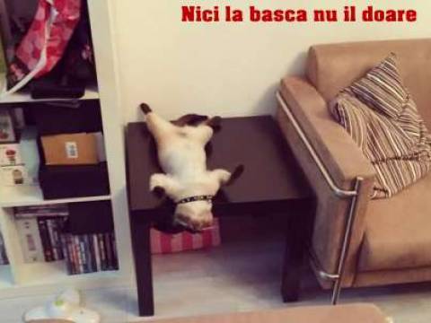 De ce nu s-a casatorit Vasile