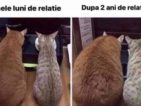 Cum este o relatie