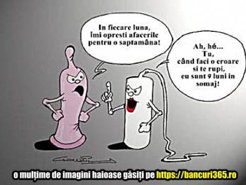 Cu ce se lauda soricioaica