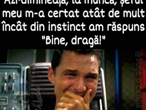 Intrebari si raspunsuri, adevarate glume de ras cu barbati