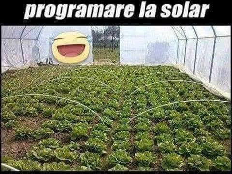Ce este rugat un soț să facă