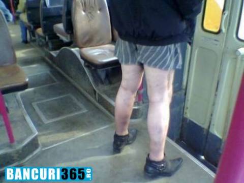 Ce au patit rata si cu vulpea
