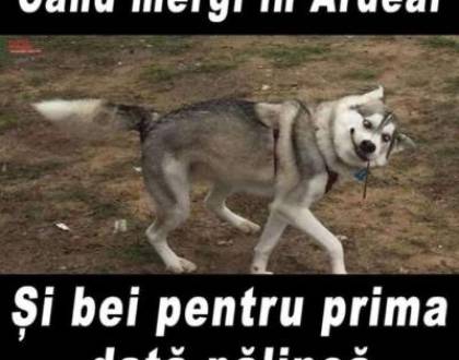 De ce nu mai poarta ardeleanul sapca cu urechi