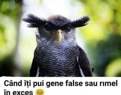 Bancuri tari cu cosmeticiene