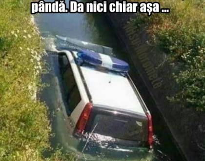 Cum isi cauta un sofer masina