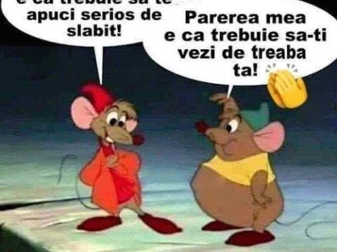 Ce fac doi șoricei &icirc;ntr-o sală de cinematograf