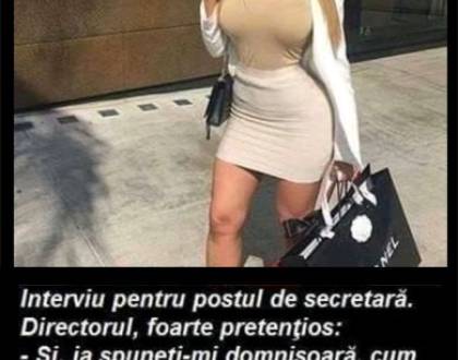 O blonda la interviul de angajare