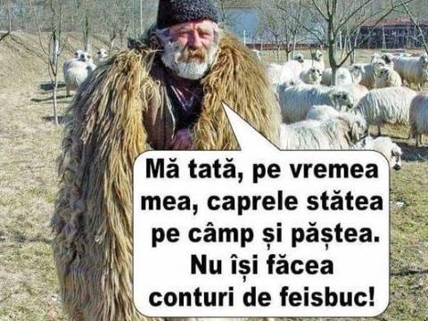 Noua legislatie de care trebuie sa tina cont ciobanii