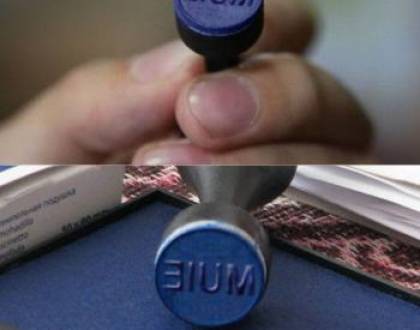 Cine l-a votat pe candidat