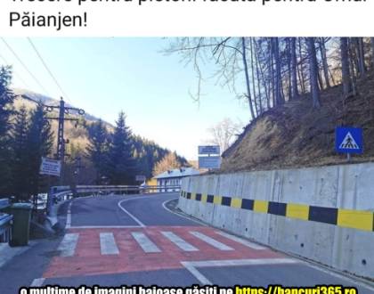 Discuție &icirc;ntre doi șoferi care au făcut un accident