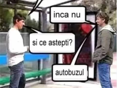 Ce fel de om este Ion