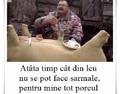 C&acirc;nd e leul regele animalelor