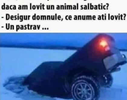 Ce răspuns primește un șofer de la Dumnezeu