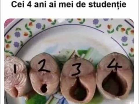 Problemele studentei la examen