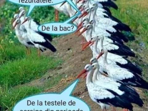 Bancul zilei - ce tema a avut de facut Alinuta
