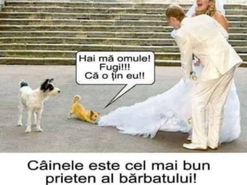 La ce anume se uită un tip, la televizor