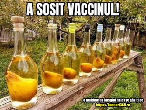 Problema clientului