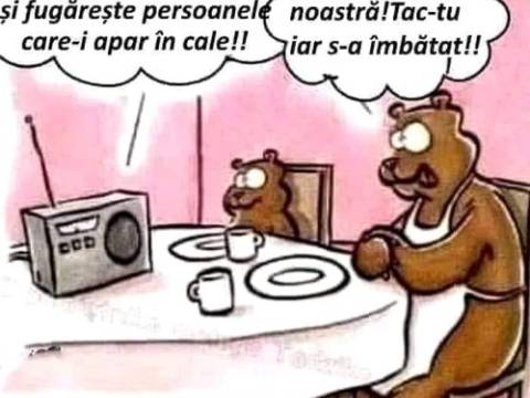 Ce vrea un urs de la magazin