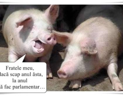 Cum iti dai seama ca un ministru este mai prietenos
