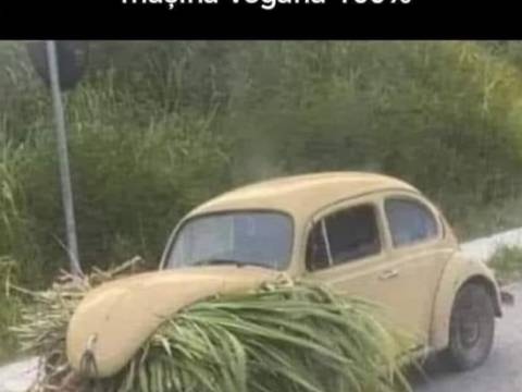 Bancul zilei 28 martie 2024