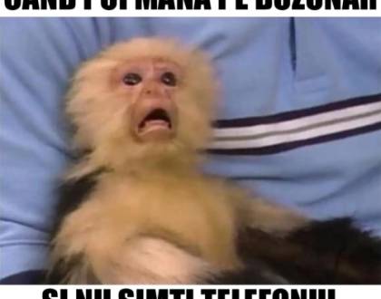 De ce o blondă nu răspunde la telefon