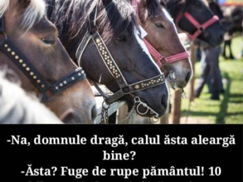 De ce un cumparator nu este multumit de un cal