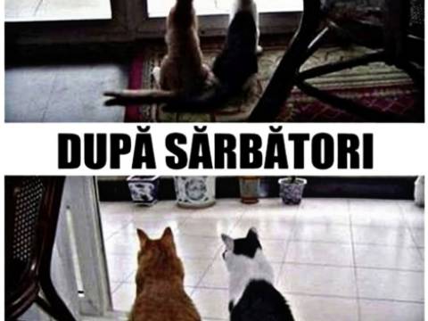 De ce unii se &icirc;ngrașă și alții nu