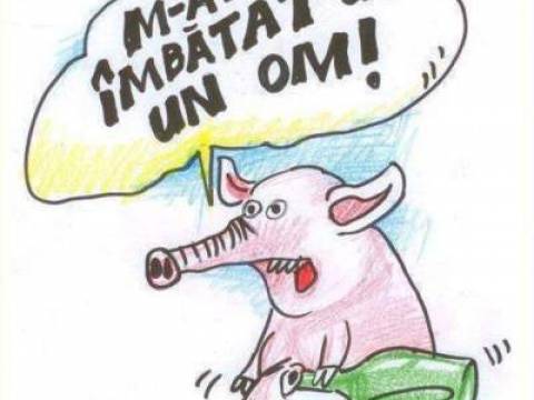 Cunostinte vechi