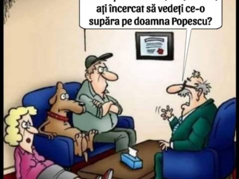 Ce a făcut Maria cu Vasile