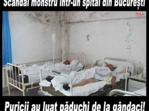 Vanghelie vrea sa cumpere carti
