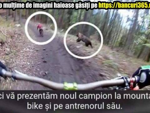Cel mai bun antrenor de mountain bike