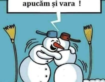 Intrebări și răspunsuri despre oamenii de zăpadă