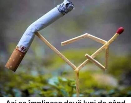 Discuție &icirc;ntre doi programatori fumători