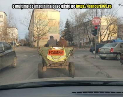 Ce ii face un taran unui magar