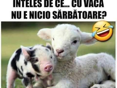 Cele mai haioase glume de Paște