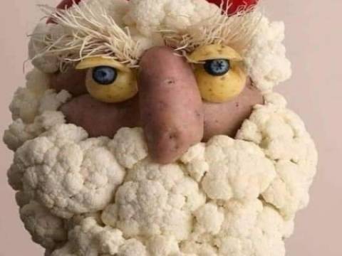 Cum arata Mos Craciunul vegetarienilor