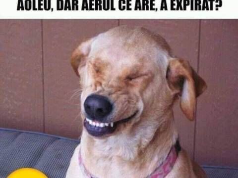 Ce nu vrea să facă o femeie pentru iubitul ei
