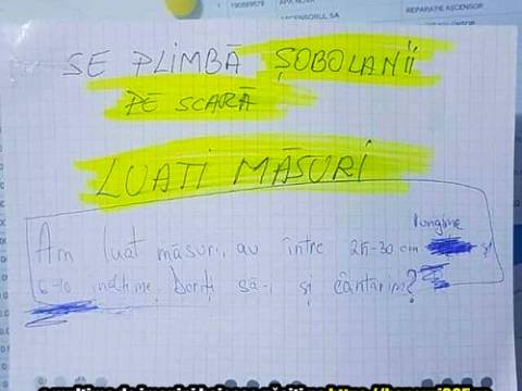 Locatari cu simtul umorului