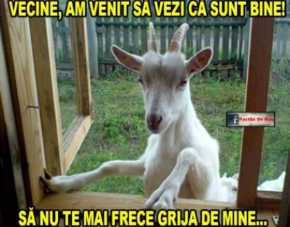 Cum se ajuta vecinii intre ei
