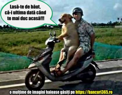 Ce vrea să știe un bețiv de la un chelner