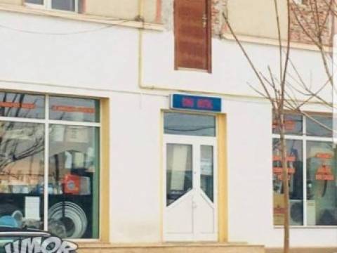 Cum a ajuns un şofer in v&acirc;rful unui copac