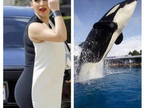 Bancuri cu asemanari si diferente