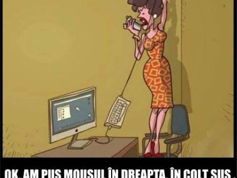 Cat de bine sunt pregatiti unii salariati